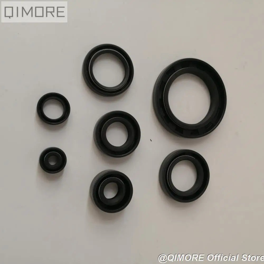 Engine Oil Seal Kit for Rebel CA250 Regal Raptor DD250 Tank Vision Baja Phoenix 250 Jinlun Texan 250 Sanex QJ250-3 253FMM